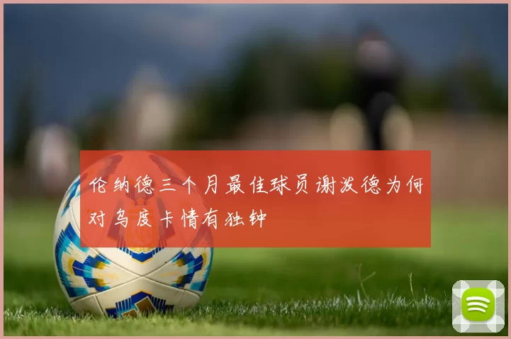 伦纳德三个月最佳球员谢泼德为何对乌度卡情有独钟